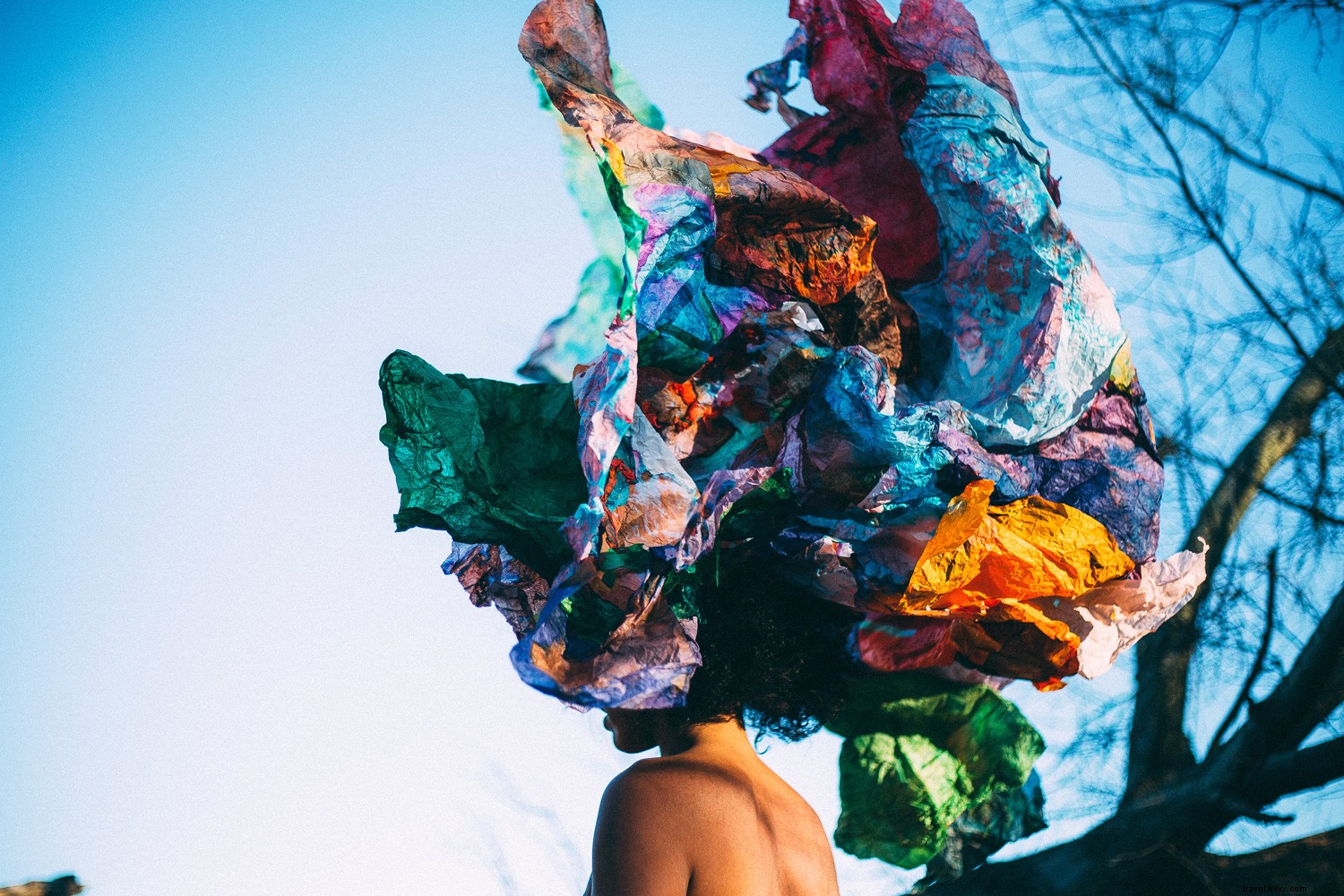 Ultimate Guide to Washington s Top 14 Family-Friendly Summer Festivals