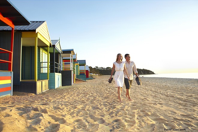 Victoria and Tasmania: Penguin Parades, Culinary Delights, and Wilderness Escapes