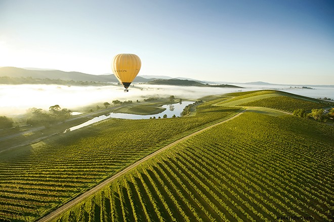 Victoria and Tasmania: Penguin Parades, Culinary Delights, and Wilderness Escapes