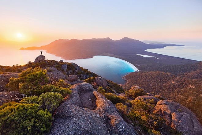 Victoria and Tasmania: Penguin Parades, Culinary Delights, and Wilderness Escapes