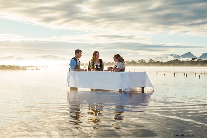 Victoria and Tasmania: Penguin Parades, Culinary Delights, and Wilderness Escapes