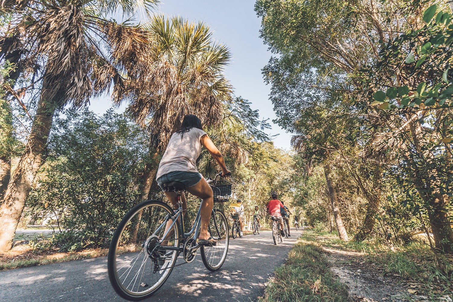 Discover the Beaches of Fort Myers & Sanibel: Your Family s Ultimate Beach Paradise