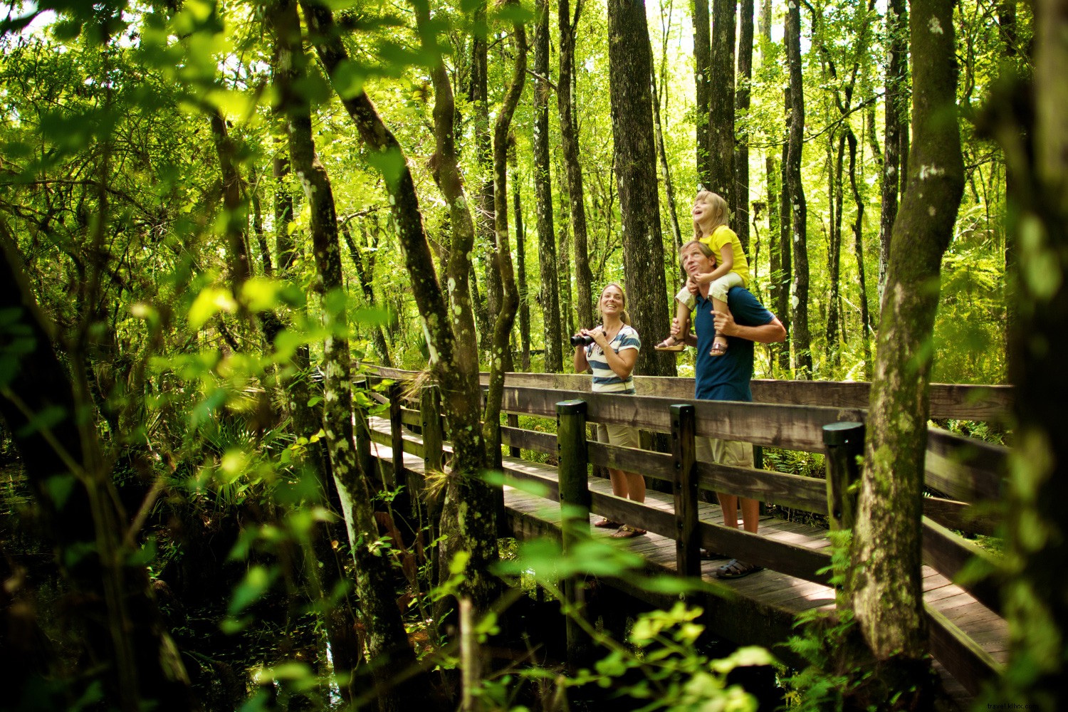 Discover the Beaches of Fort Myers & Sanibel: Your Family s Ultimate Beach Paradise