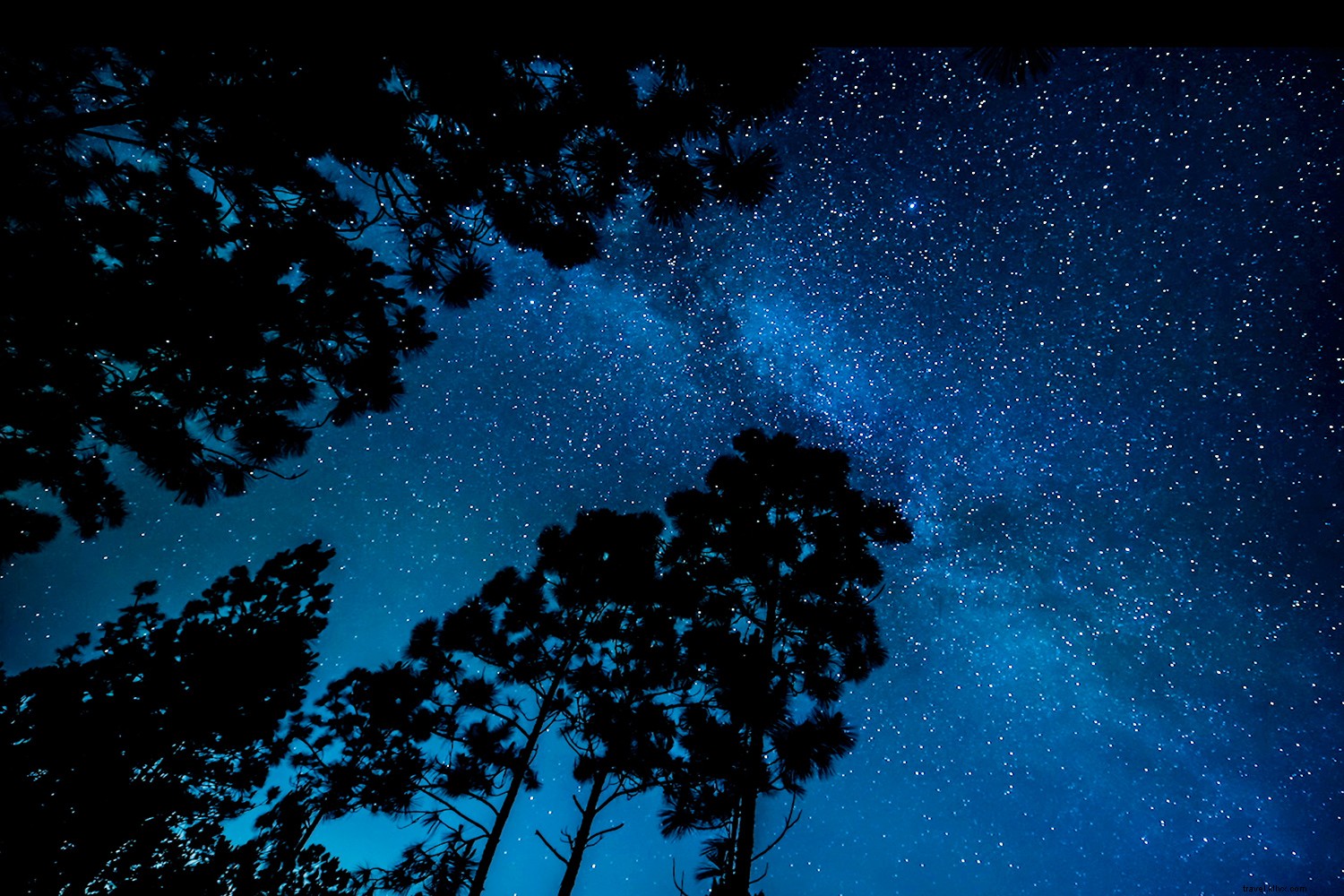 Discover the Beaches of Fort Myers & Sanibel: Your Family s Ultimate Beach Paradise