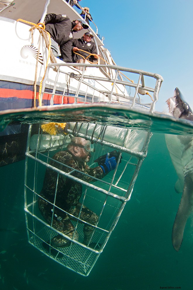 6 Extreme Adventures That Prove You re a True Daredevil