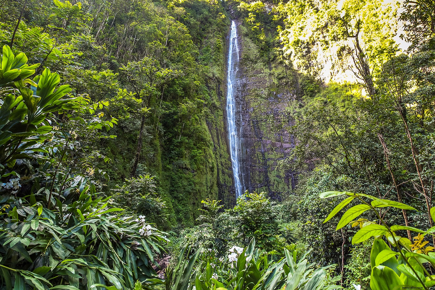 Discover 8 of Hawaii s Most Breathtaking Waterfalls: Essential Viewing Guide