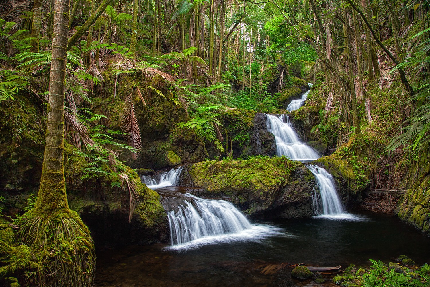 Discover 8 of Hawaii s Most Breathtaking Waterfalls: Essential Viewing Guide