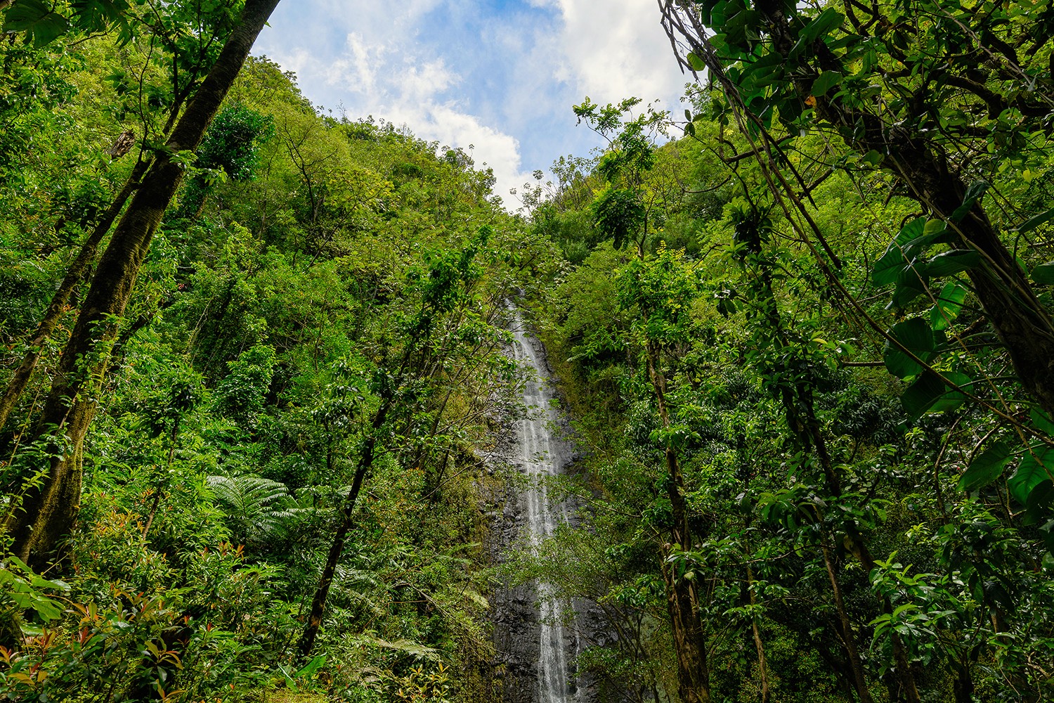 Discover 8 of Hawaii s Most Breathtaking Waterfalls: Essential Viewing Guide