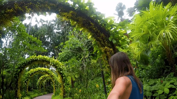 Essential Singapore Stopover: Perfect 1-, 2-, or 3-Day Itineraries from a Recent Visitor