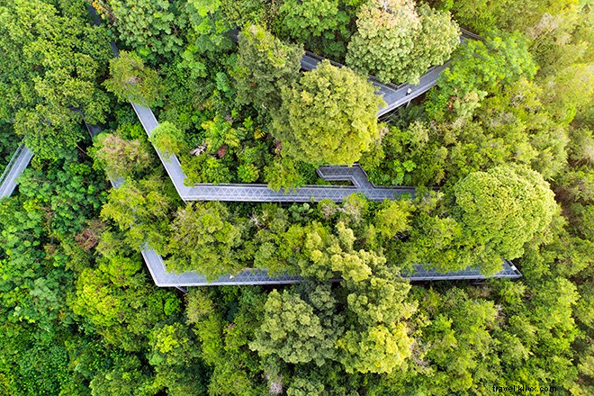 Essential Singapore Stopover: Perfect 1-, 2-, or 3-Day Itineraries from a Recent Visitor