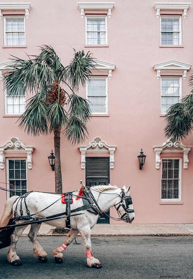 Top 10 Most Photogenic Spots in Charleston, South Carolina