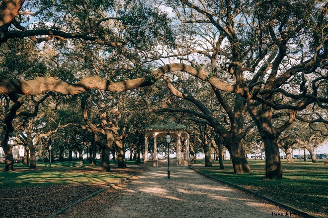 Top 10 Most Photogenic Spots in Charleston, South Carolina