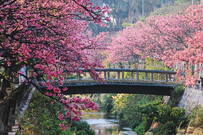 Visiting Japan? Don t Miss Okinawa: The Legendary Land of Immortals