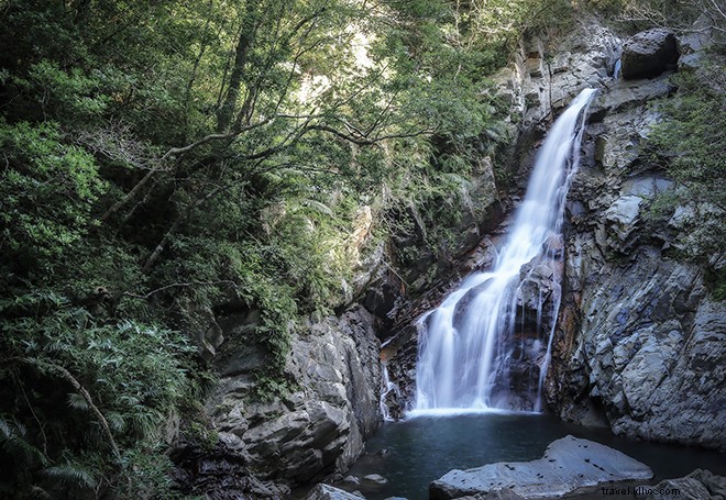 Visiting Japan? Don t Miss Okinawa: The Legendary Land of Immortals