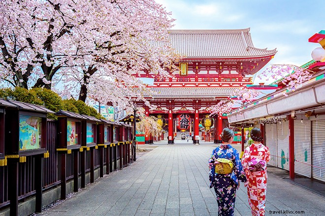 Top 5 Ultimate Spring Destinations: Cherry Blossoms, Festivals, and Coastal Bliss