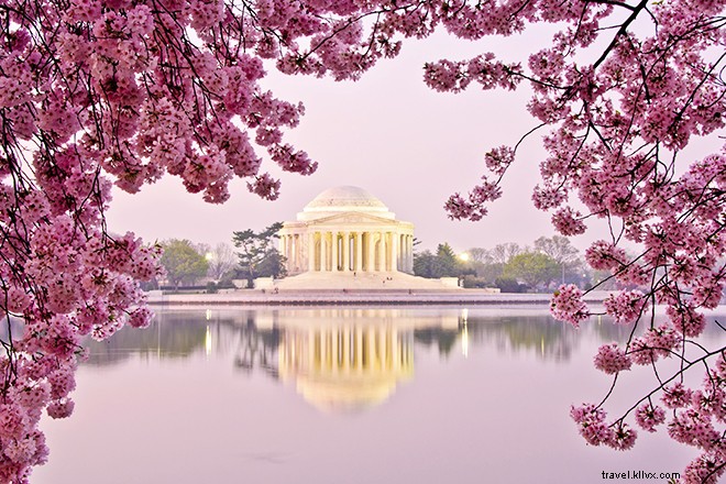 Top 5 Ultimate Spring Destinations: Cherry Blossoms, Festivals, and Coastal Bliss