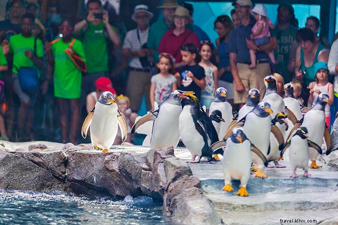 Detroit s Renaissance: Historic Hotels, Vibrant Food Scene, and Cultural Revival Await