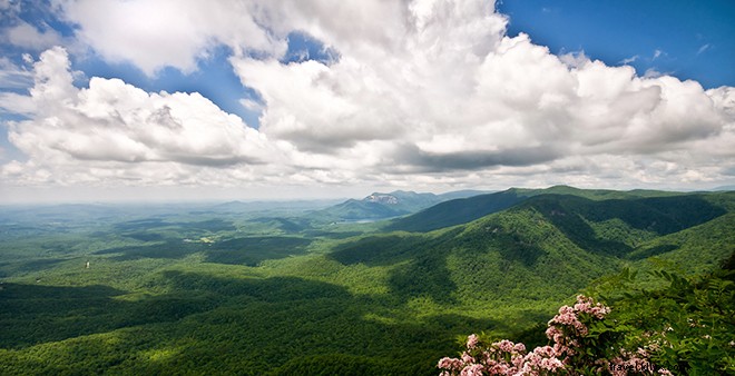 Greenville, SC: The Southern Gem Earning Raves from NYT, WSJ, and More