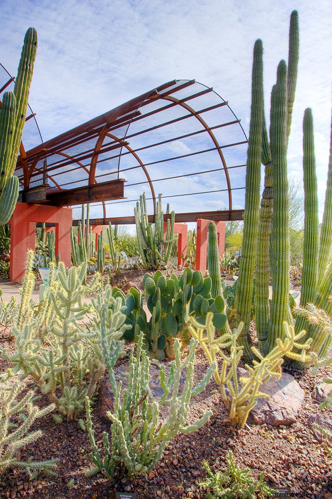 Ultimate A-to-Z Guide to Spring Training in Arizona: Cactus League and Beyond