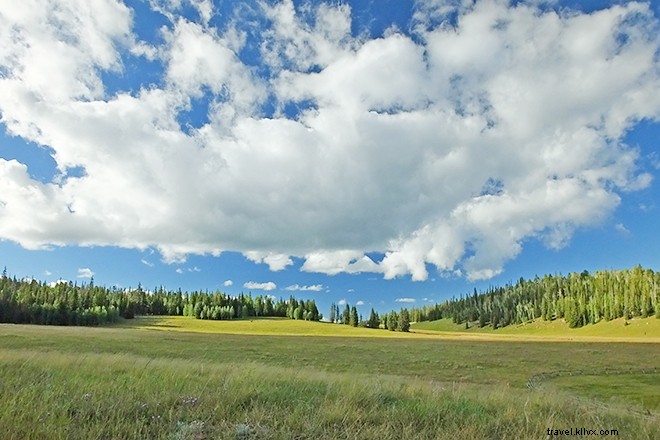 Ultimate A-to-Z Guide to Spring Training in Arizona: Cactus League and Beyond