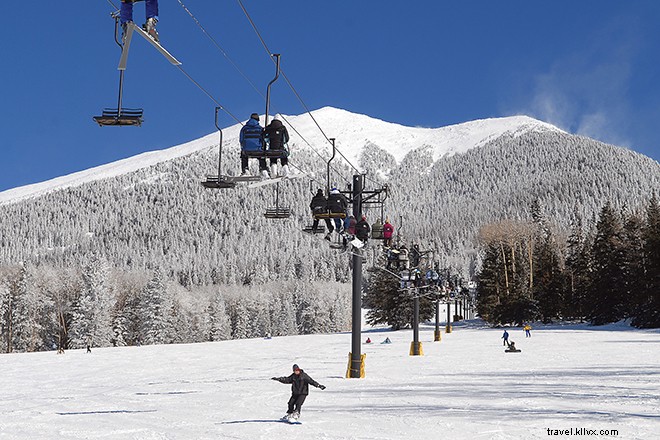 Ultimate A-to-Z Guide to Spring Training in Arizona: Cactus League and Beyond