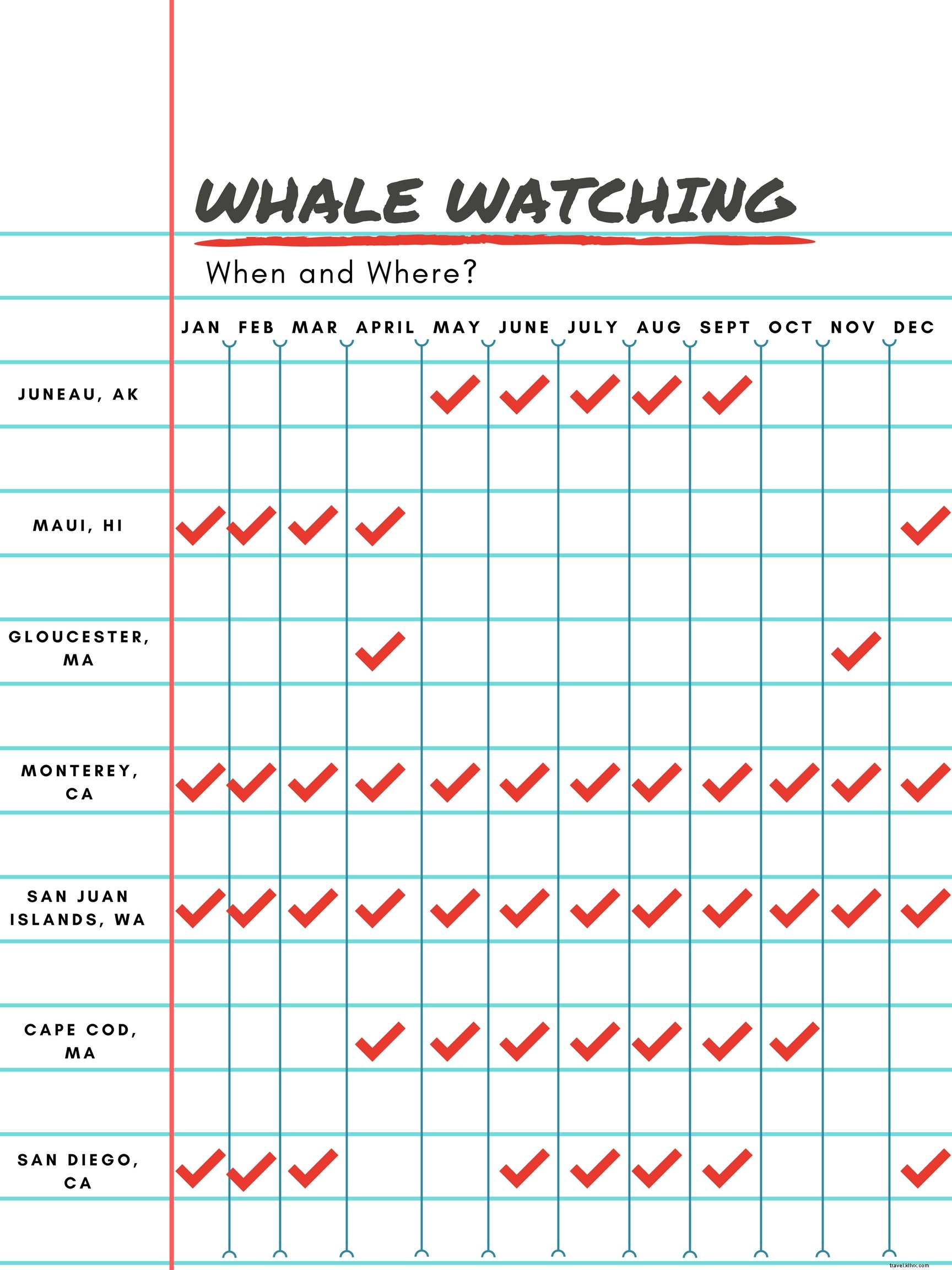 Best U.S. Whale Watching Spots: Top Locations, Seasons & Species Guide