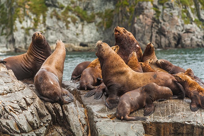 Haida Gwaii: Canada s Galápagos of the North – A Remote Archipelago Paradise