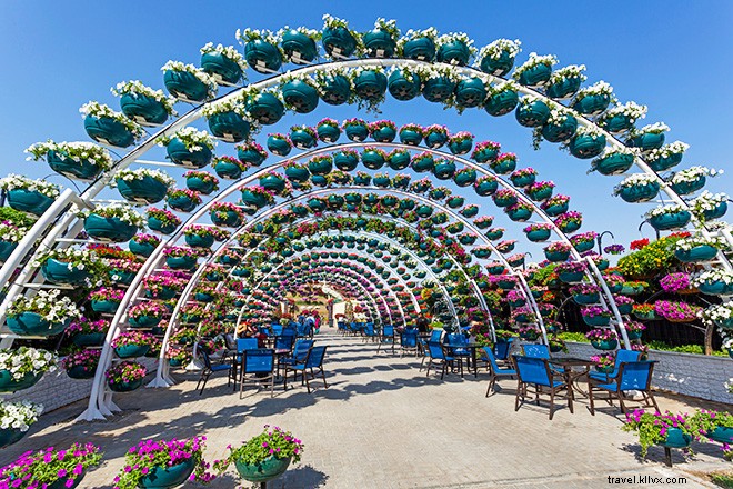 Dubai s Miracle Garden: The World s Largest Natural Flower Garden, Straight Out of Alice in Wonderland