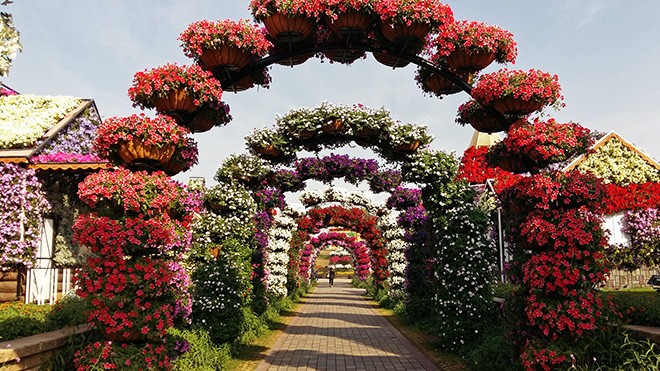 Dubai s Miracle Garden: The World s Largest Natural Flower Garden, Straight Out of Alice in Wonderland