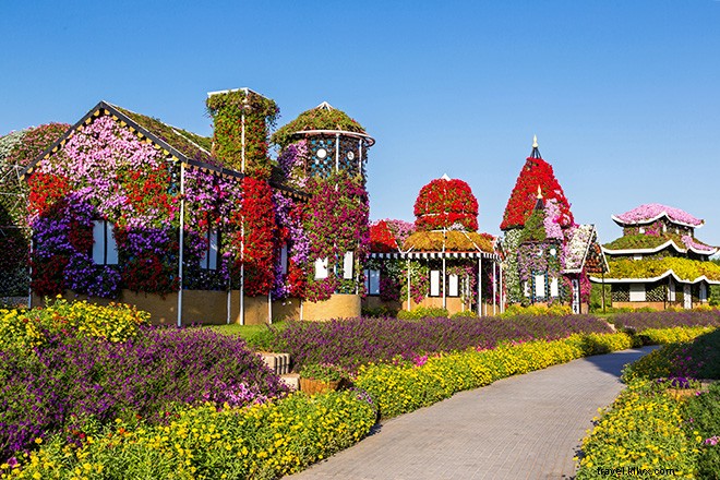 Dubai s Miracle Garden: The World s Largest Natural Flower Garden, Straight Out of Alice in Wonderland
