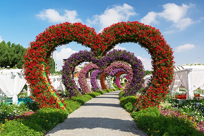 Dubai s Miracle Garden: The World s Largest Natural Flower Garden, Straight Out of Alice in Wonderland