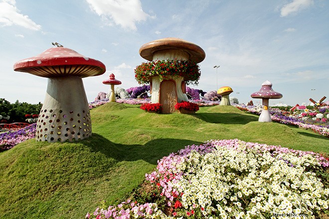 Dubai s Miracle Garden: The World s Largest Natural Flower Garden, Straight Out of Alice in Wonderland
