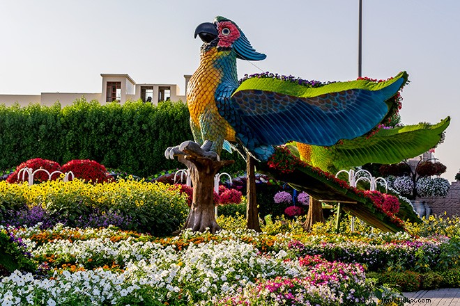 Dubai s Miracle Garden: The World s Largest Natural Flower Garden, Straight Out of Alice in Wonderland
