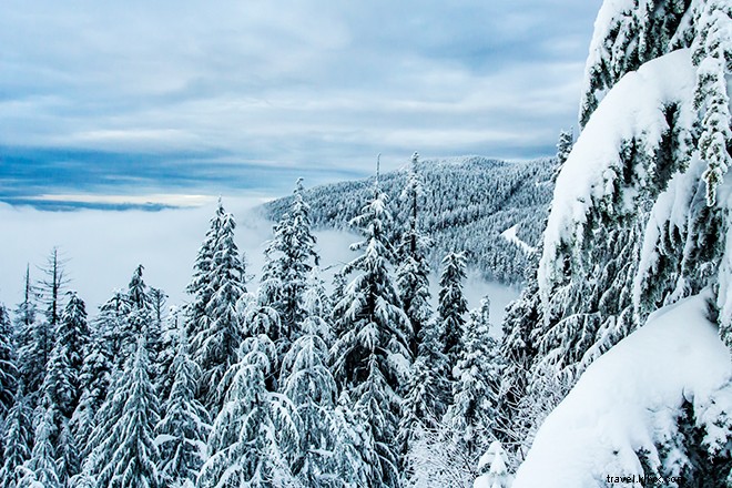 5 Iconic North American Winter Olympics Host Cities Worth Visiting Today