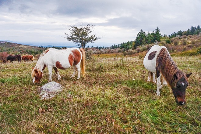 9 Iconic U.S. Hiking Trails: Breathtaking Adventures Without Leaving the Country