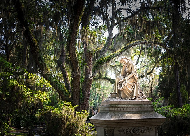 5 Unmissable Savannah Experiences: Iconic Sights, Haunts, and Flavors