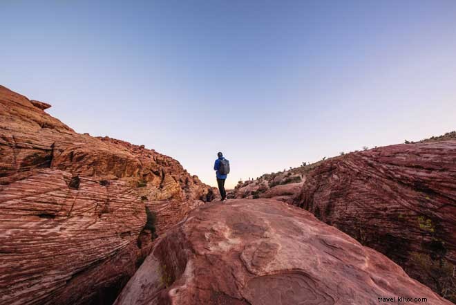 Wellness in Las Vegas: A Healthy Vacation Guide to Spas, Hiking, Yoga, and Vegan Dining