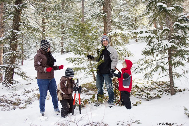 11 Enchanting Hotels for a Magical Christmas Celebration in Your Room