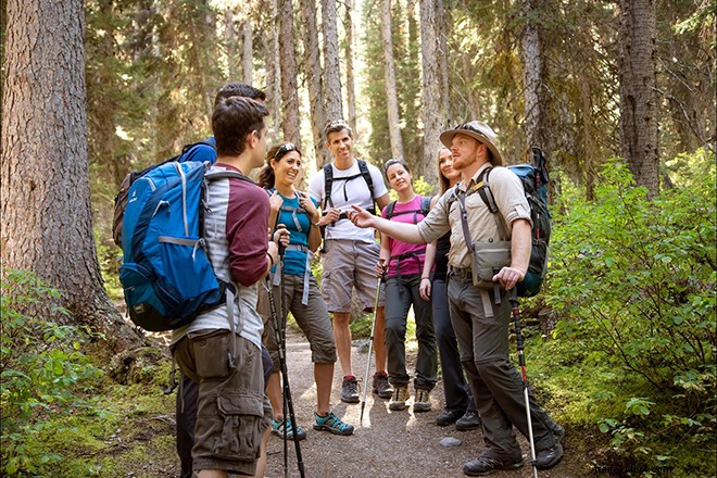 10 Compelling Reasons Fairmont Chateau Lake Louise is Canada s Ultimate Dream Escape