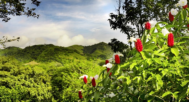 7 Ultimate Ways to Unwind and Relax in Costa Rica