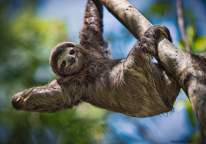 7 Ultimate Ways to Unwind and Relax in Costa Rica