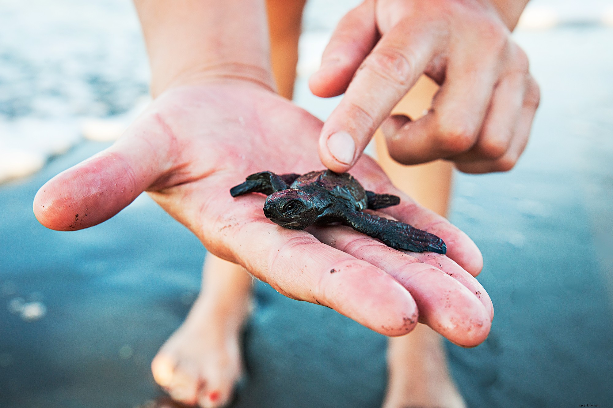 Best Off-Peak Travel Times for Budget Travelers: Save Big on Top Destinations