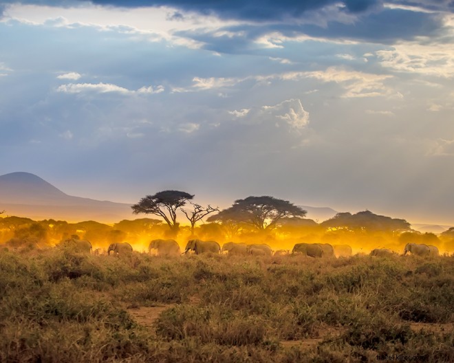 Ditch the Bucket List: 8 Epic Travel Resolutions for the New Year