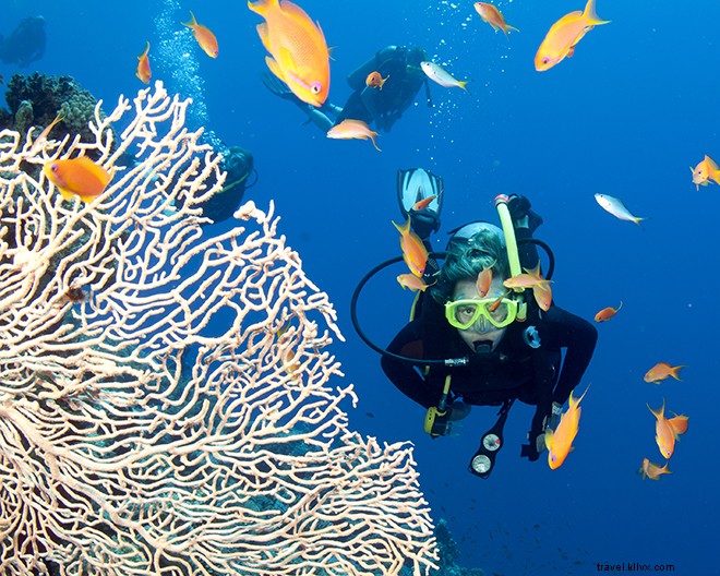 Ditch the Bucket List: 8 Epic Travel Resolutions for the New Year