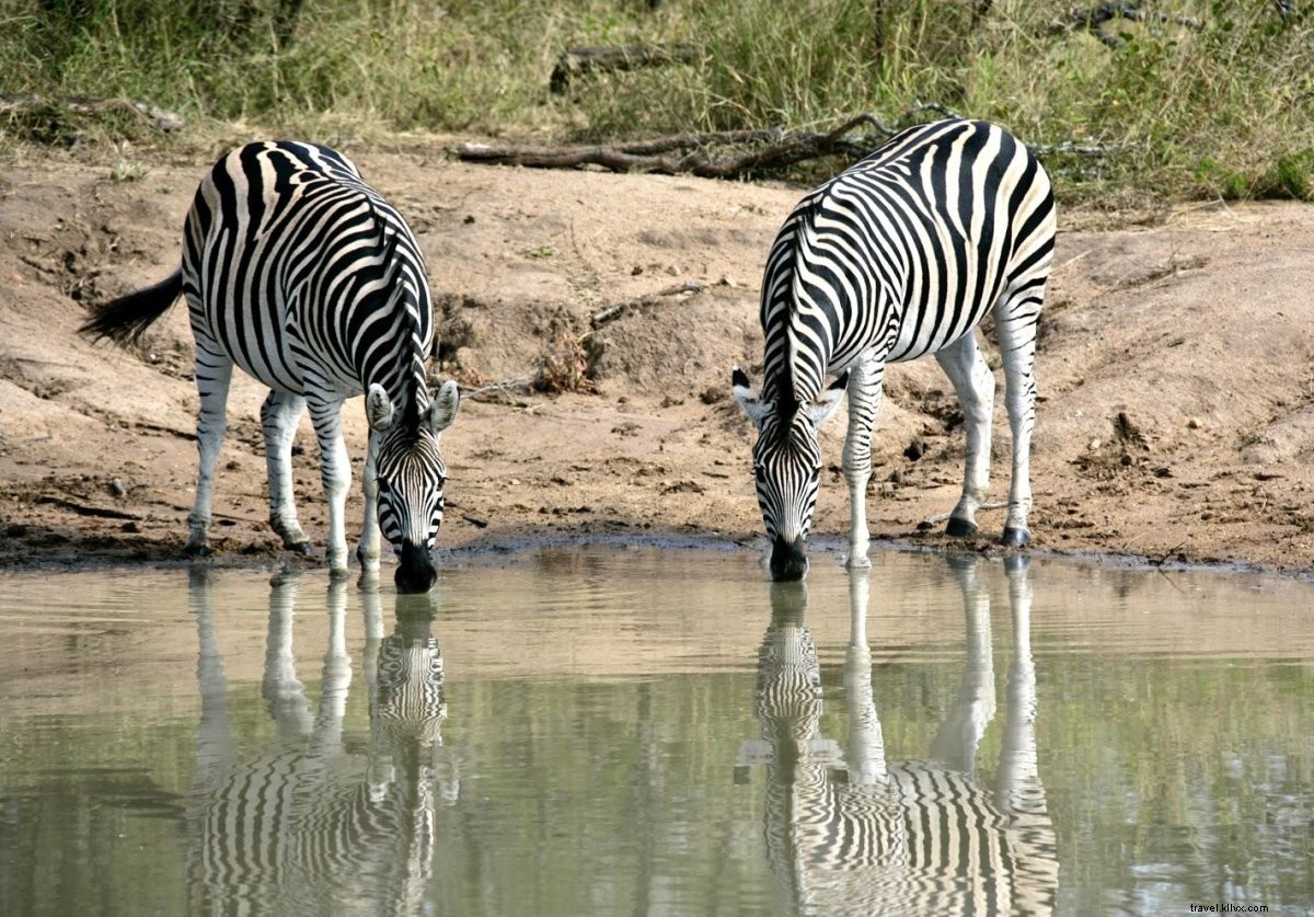 6 Expert Tips from Travelzoo s Director of Photography for Stunning Vacation Photos