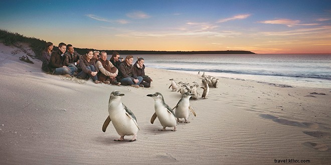 5 Unmissable Australian Experiences to Enjoy This Summer