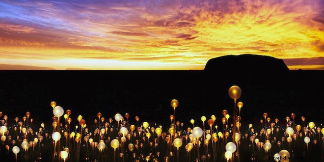 5 Unmissable Australian Experiences to Enjoy This Summer