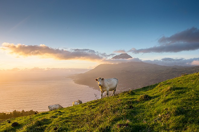 Discover the Azores: Portugal s Nine Volcanic Islands, a Traveler s Dream