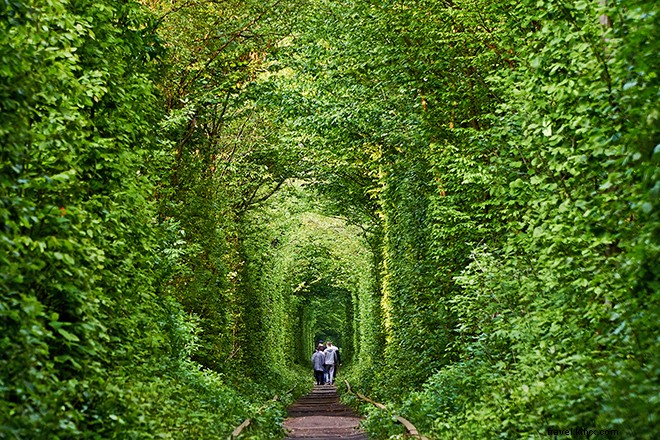 20 Surreal Bucket List Travel Experiences That Will Blow Your Mind