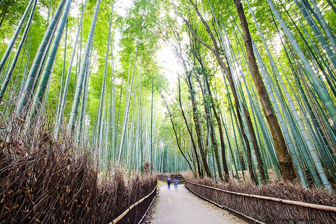 20 Surreal Bucket List Travel Experiences That Will Blow Your Mind